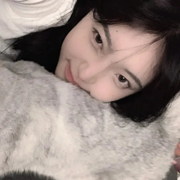 机界战队全开者VS煌辉者VS前辈者